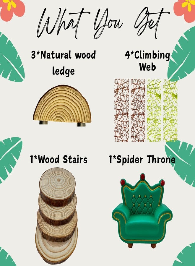 ZREVSB Jumping Spider Enclosure Accessories Kit, Habitat Decor - Spider Throne, Wood Stairs, Wood Ledges & Climbing Web - Image 4